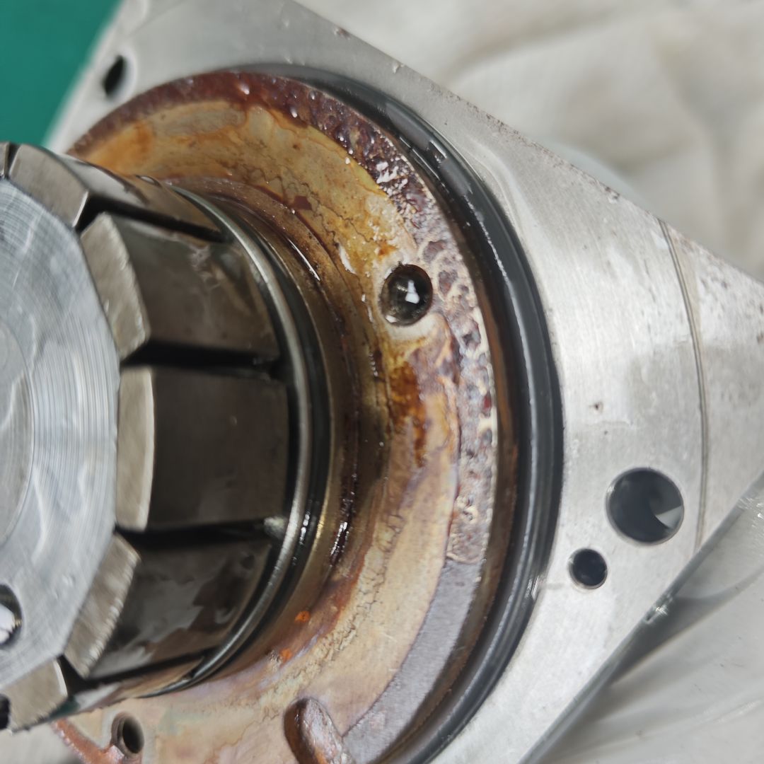 IMG_20260312_111441 IMG_20260312_111441