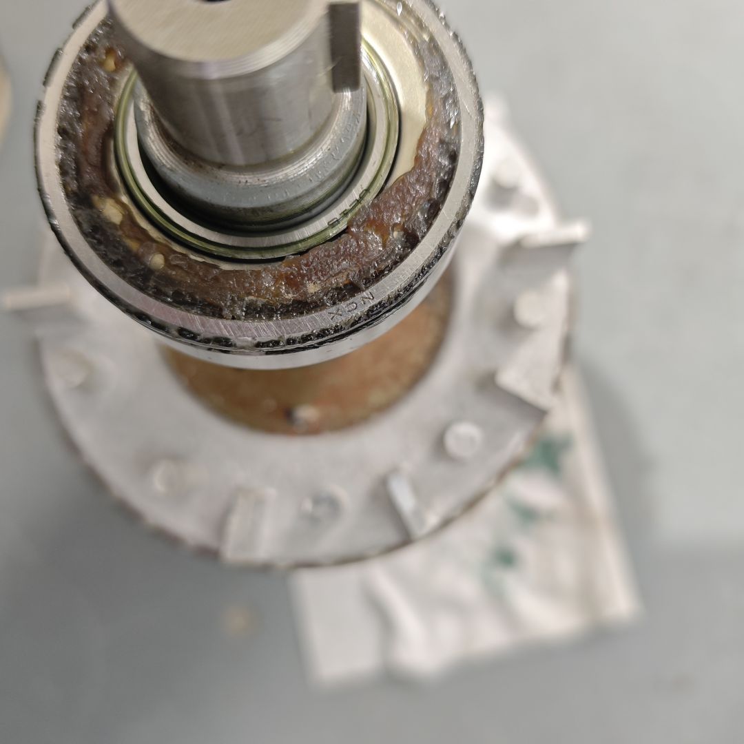 IMG_20260317_163058 IMG_20260317_163058