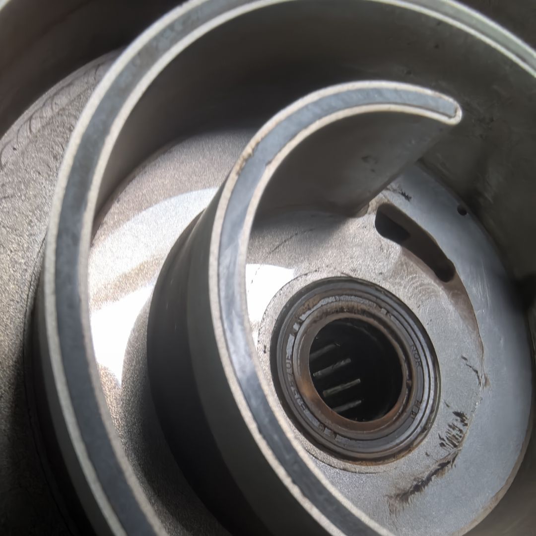 微信图片_20250729110309 微信图片_20250729110309