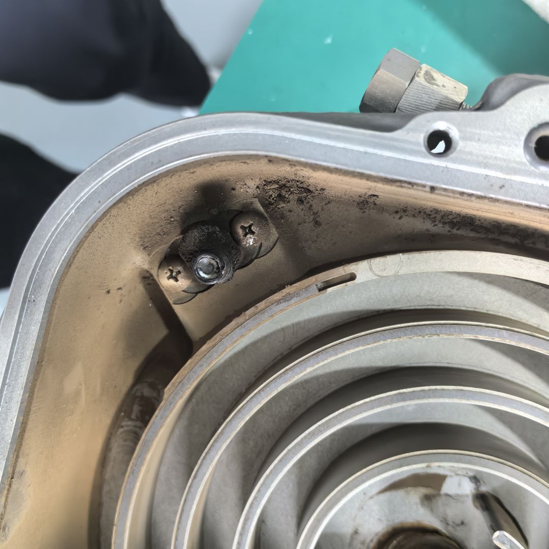 微信图片_20250729110257 微信图片_20250729110257