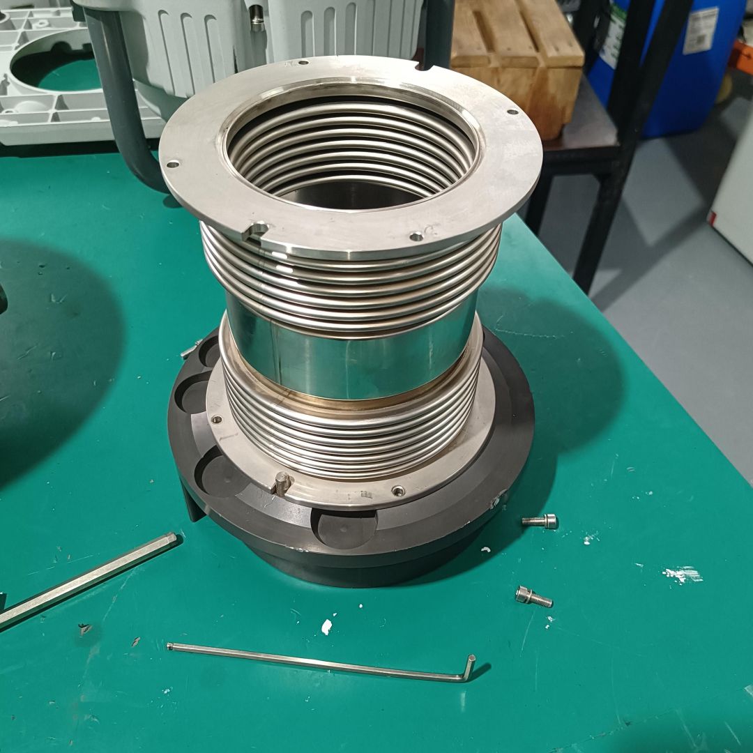 IMG_20250927_170337 IMG_20250927_170337